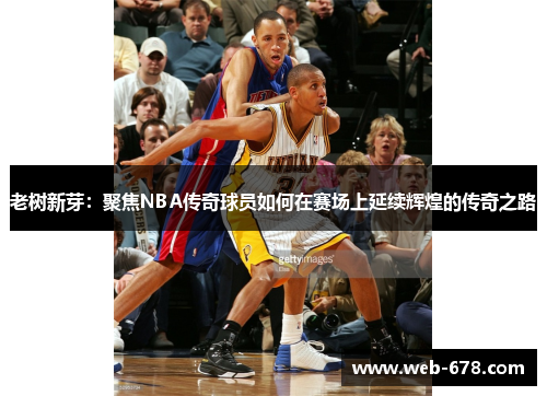 老树新芽：聚焦NBA传奇球员如何在赛场上延续辉煌的传奇之路